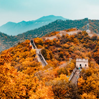 意想不到的難忘之旅