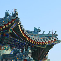 意想不到的難忘之旅